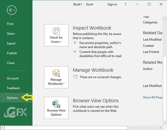 access developer tool for excel on mac